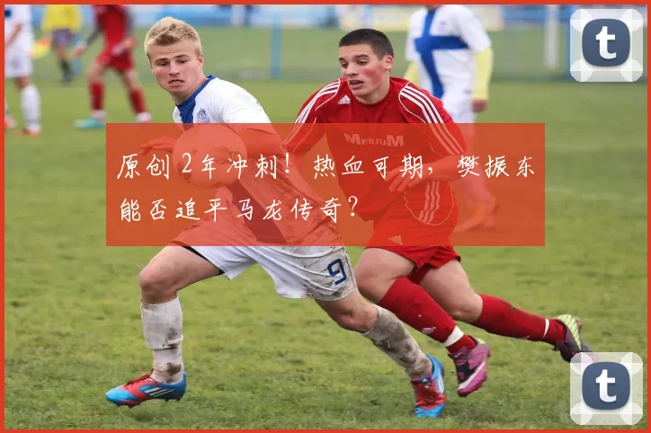 原创 2年冲刺！热血可期，樊振东能否追平马龙传奇？