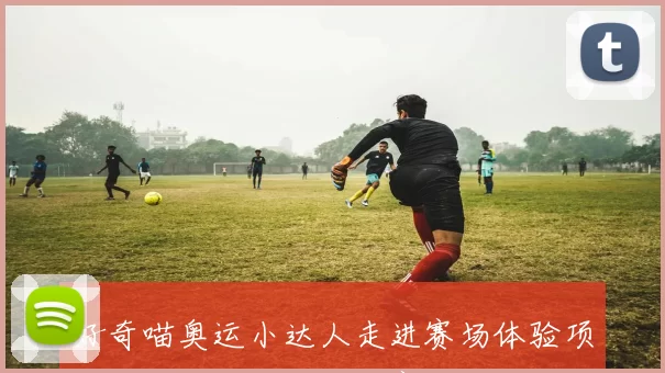 好奇喵奥运小达人走进赛场体验项目收获运动知识与观赛乐趣