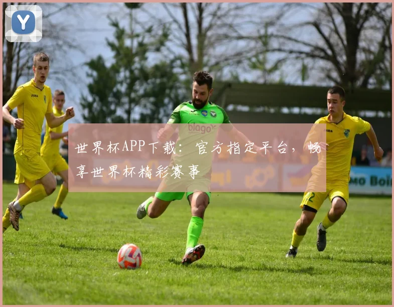 世界杯APP下载：官方指定平台，畅享世界杯精彩赛事