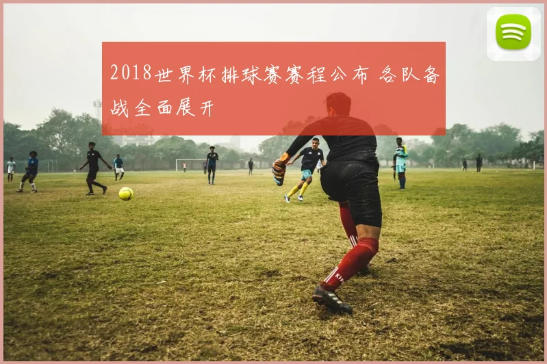 2018世界杯排球赛赛程公布 各队备战全面展开