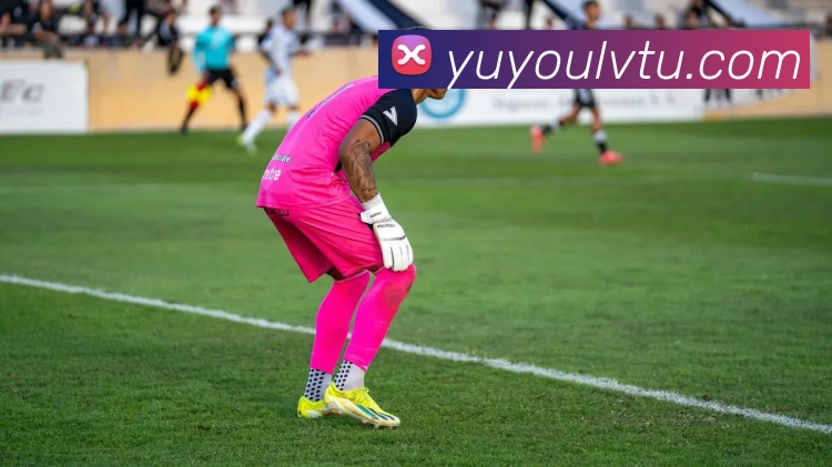 mksports官方公告平台生态图